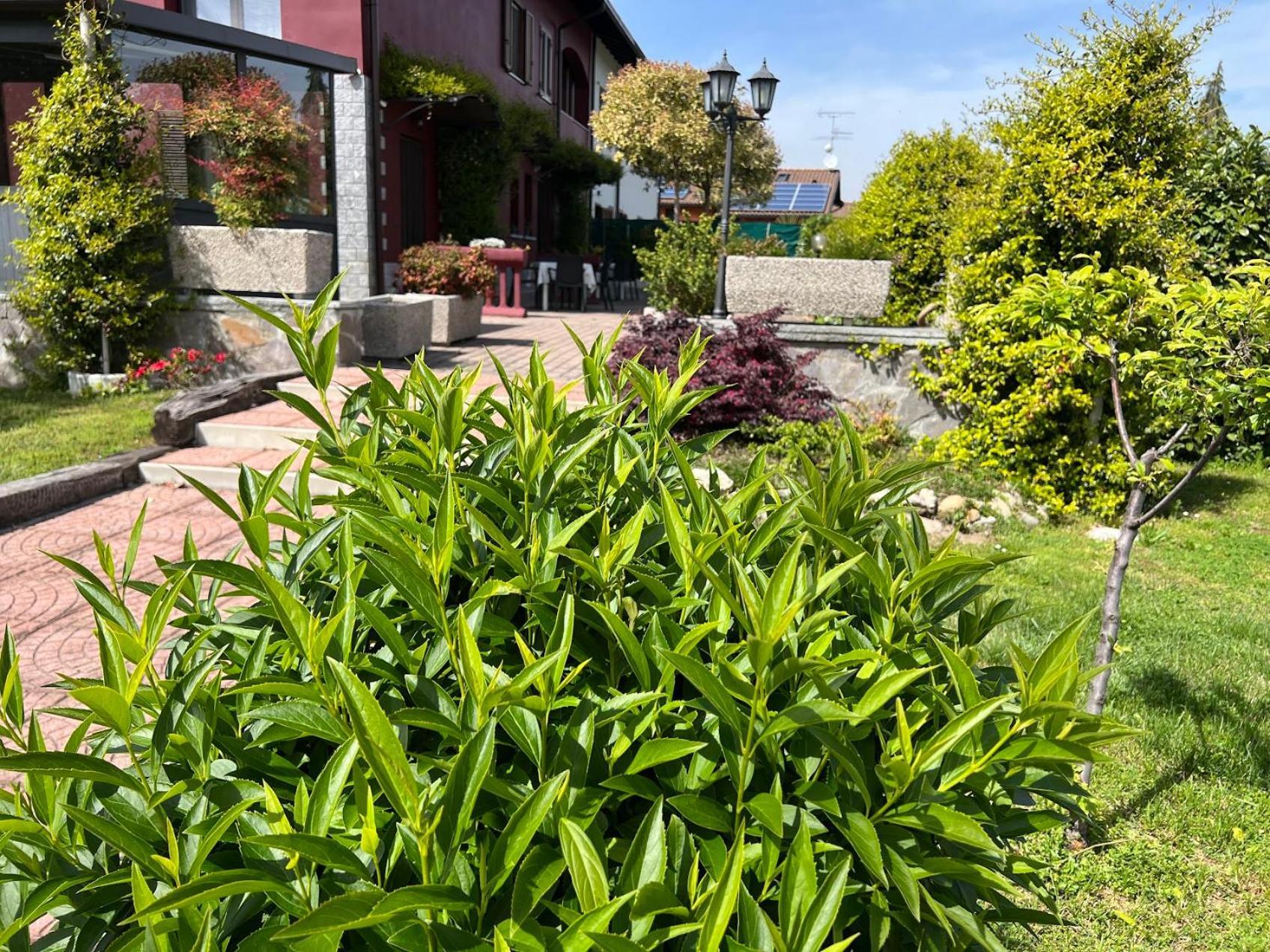 Villarosybeb Paruzzaro Bagian luar foto